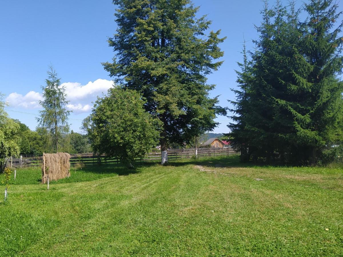 Casa Mołdawica Zewnętrze zdjęcie